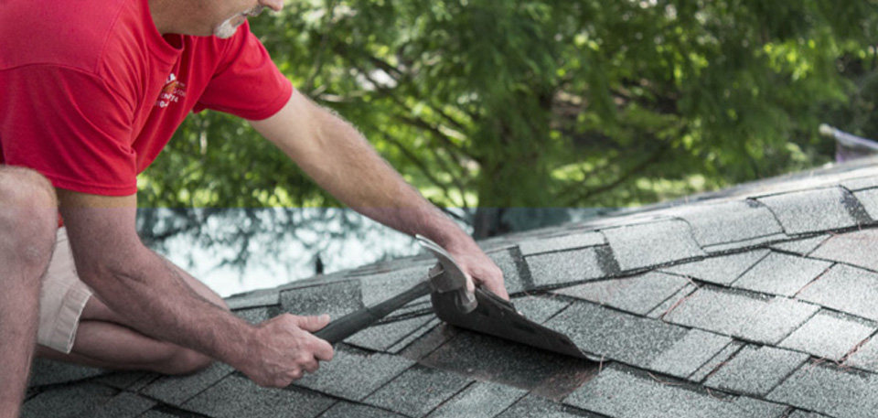 Roof Maintenance  and Repair